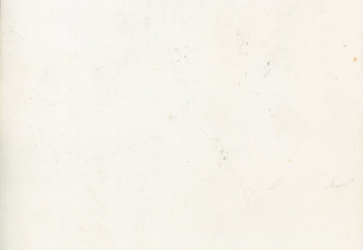 14 Arlequin Grand Vizir B6981 002