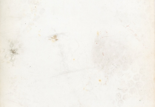 15 Arlequin Grand Vizir B6971 002