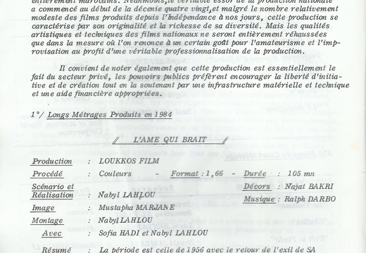 CCM Rapport 1984 011