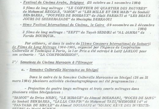 CCM Rapport 1984 028