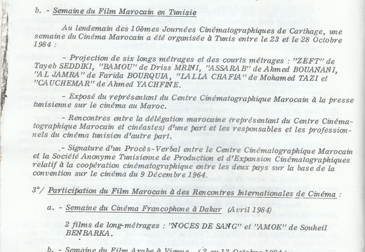 CCM Rapport 1984 029