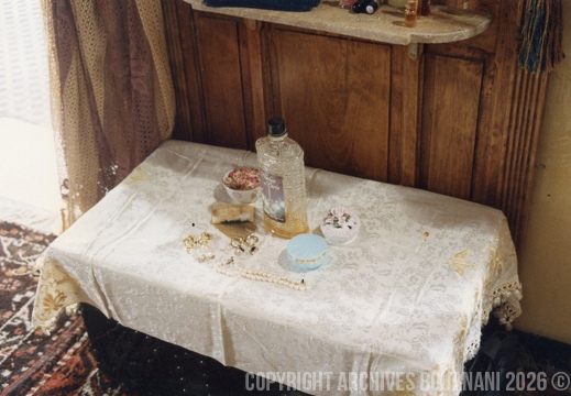 A LA RECHERCHE DU MARI DE MA FEMME photo8-2