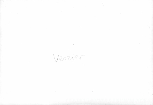VERZIER 004