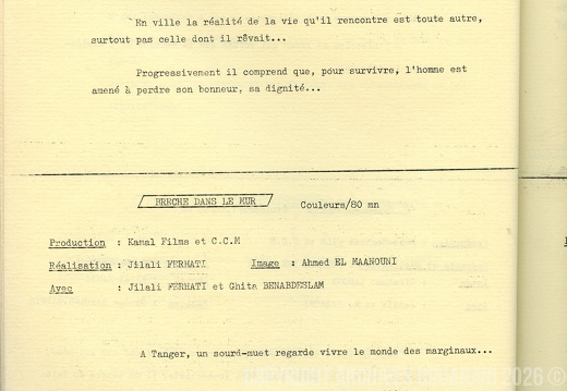 2e festival national du film programme 36
