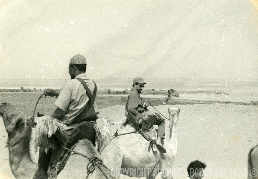 Tarfaya photo011