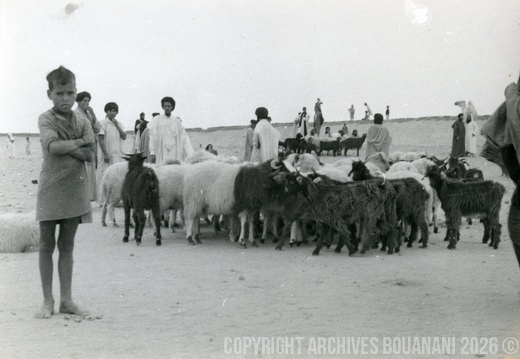 Tarfaya photo SOUK 1