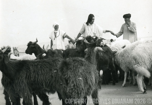 Tarfaya photo SOUK 2