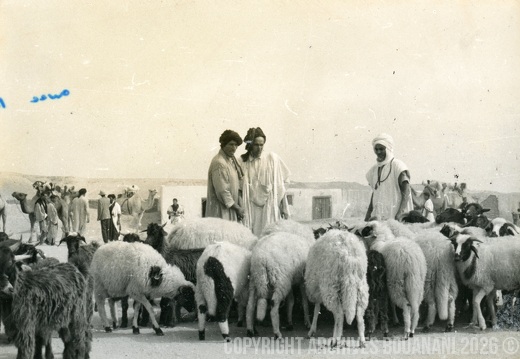 Tarfaya photo SOUK 3