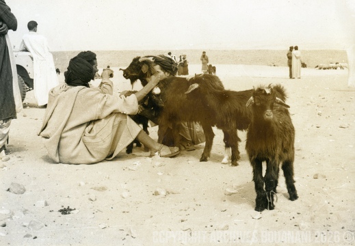 Tarfaya photo SOUK 4