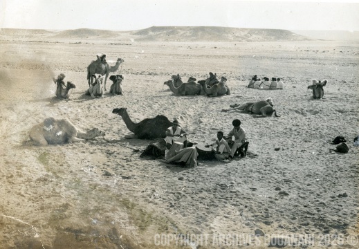 Tarfaya photo SOUK 5
