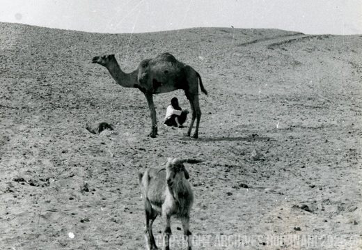 Tarfaya photo SOUK 6