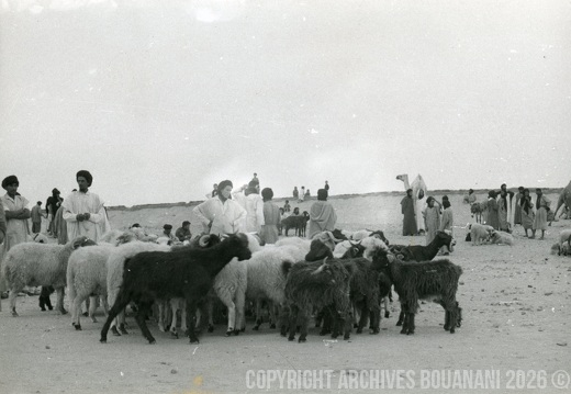 Tarfaya photo SOUK 7