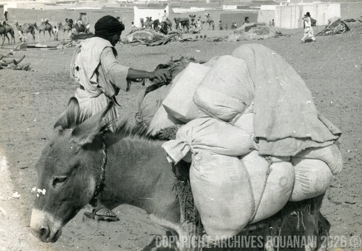 Tarfaya photo SOUK 8