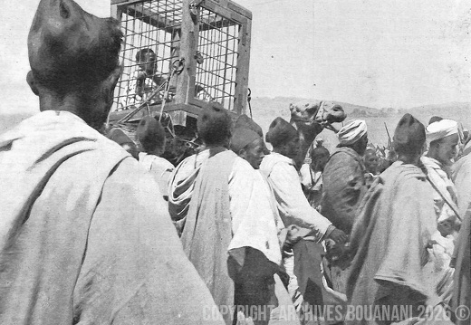 4 Photogramme Memoire 14 0006 La Une de L illustration de 1909  Le Rogui en cage