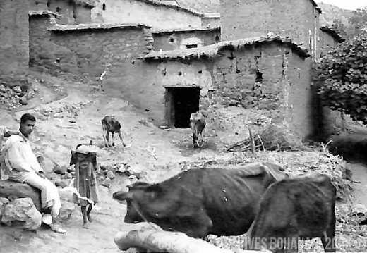 Photogramme Memoire 14 007