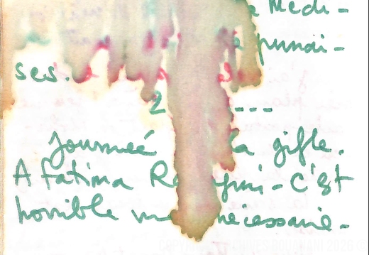 Journal Mirage manuscrit 015