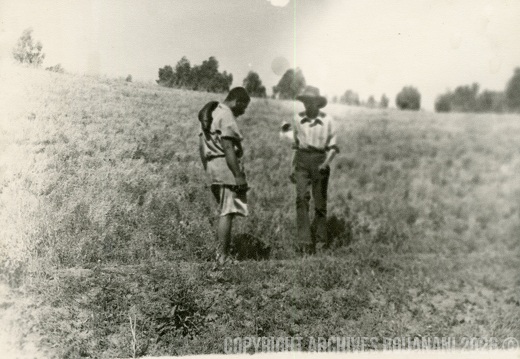 Photo Mirage grand format 002
