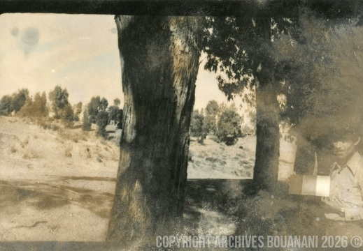 Mirage photo005