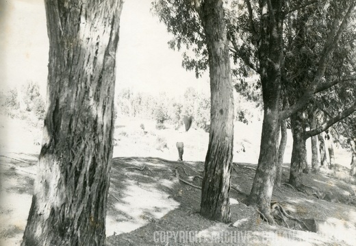 Mirage photo021