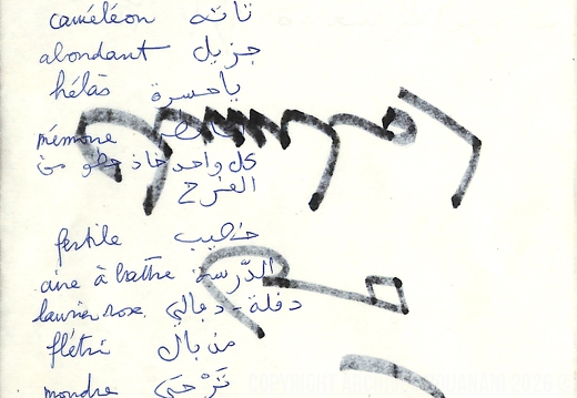 Traduction des mots