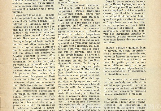 Page 09  Maroc Flash