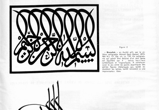 Integral 1973 047