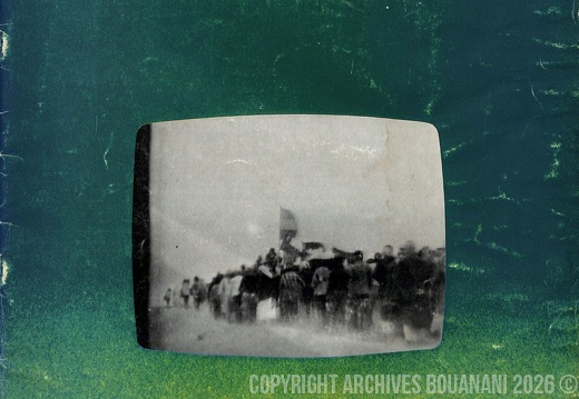 Couverture Integral  n 11  1976