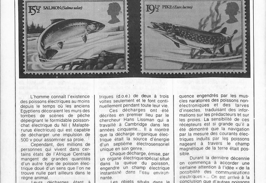 Page 36  n 27  decembre 1983